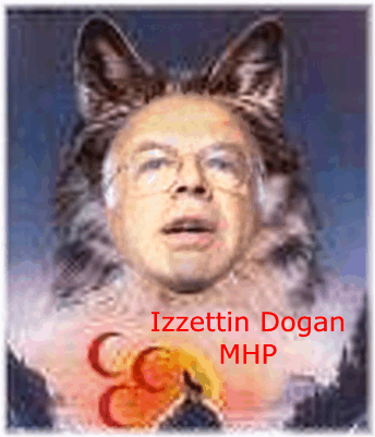 izzettin%20dogan%20mhp%20bozkurt.gif